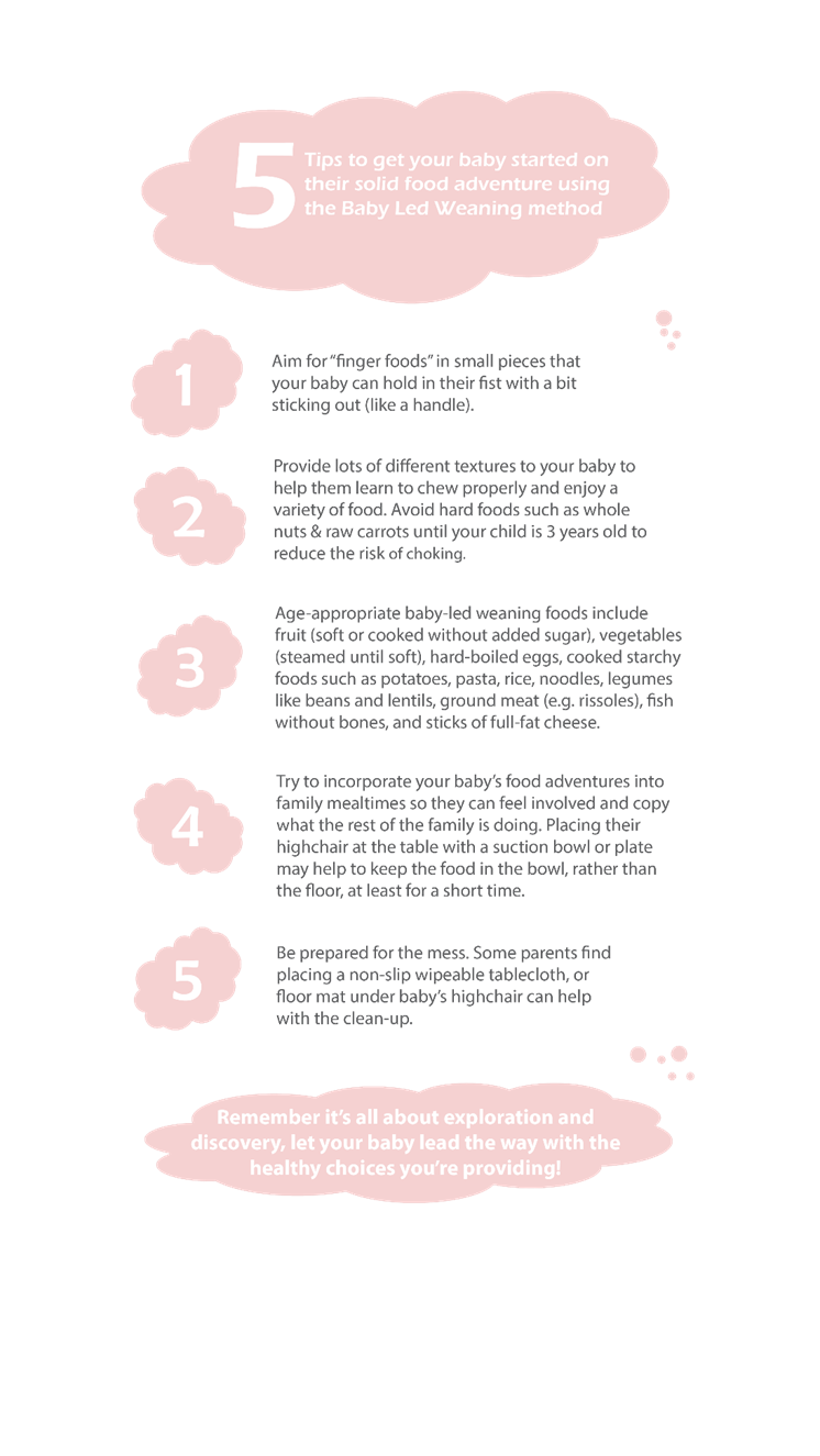 5 tips to get your baby started on their solid food adventure using BLW