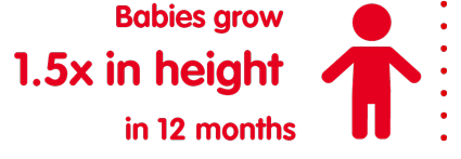 babies grow 1.5x in height in 12 months